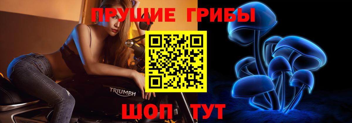 Галлюциногенные грибы прущие грибы  Вход с VPN  Иваново 